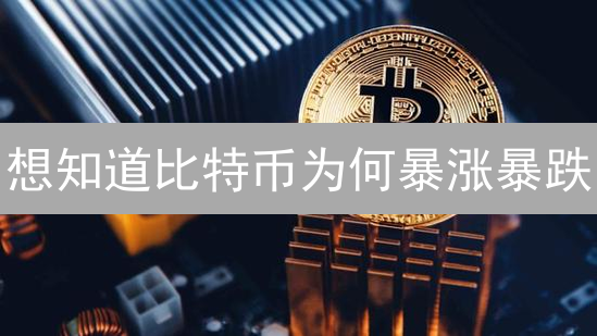 想知道比特币为何暴涨暴跌？掌握这些因素，理性投资！