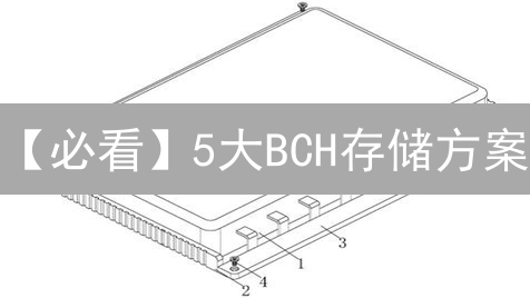 【必看】5大BCH存储方案：安全、便捷、数字化指南