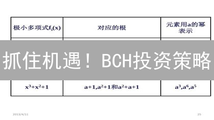 抓住机遇！BCH投资策略：低成本支付的最后机会？
