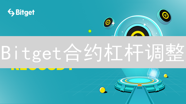 Bitget合约杠杆调整：从新手到高手的风险管理进阶之路