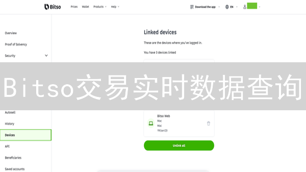 Bitso交易实时数据查询：告别盲投，拥抱科技！| 交易所数据延迟是坑？