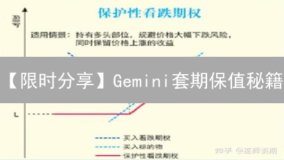 【限时分享】Gemini套期保值秘籍：机构交易员都在用的策略！