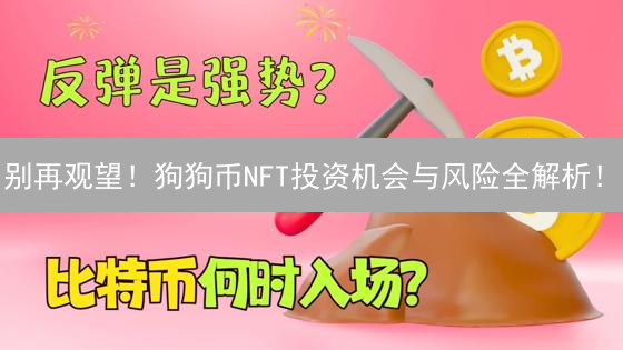 别再观望！狗狗币NFT投资机会与风险全解析！